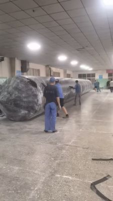 Diameter 30-5000mm Airbag Peluncuran Kapal untuk Efisiensi Maksimal dalam Pemasangan Rolling atau Lifting